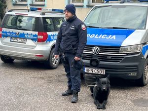 Umundurowany Policjant z psem służbowym stojący obok zaparkowanych radiowozów.