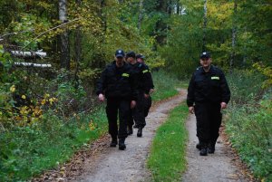 policjanci prowadza poszukiwania w lesie