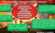 Grafika- wytyczne dotyczace zachowania w zwiazku z wypalaniem traw wraz z numerem alarmowym