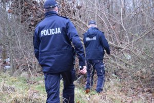 Policjanci kontrolują tereny leśne