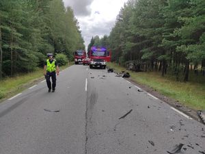 policjant idacy po jezdni na miejscu wypadku drogowego w tle dwa samochody straży pożarnej