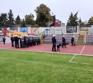 pododdział policji  i 3 przewodników psów służbowych na płycie stadiony