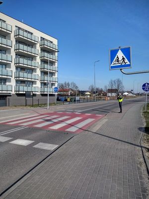 na zdjęciu widoczny policjant stojący w rejonie przejścia dla pieszych