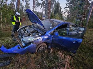 Policjant ruchu drogowego wykonujący oględziny rozbitego niebieskiego samochodu, który dachował w lesie.