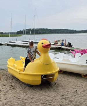 Żółty rower wodny na plaży