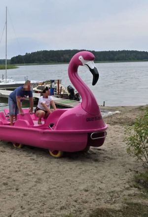 Różowy rower wodny stojący na plaży