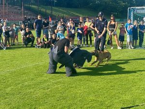 Zdjęcia z fetynu z okazjii Dnia Dziecka przedstawiające policjantów promujących swoją pracę.