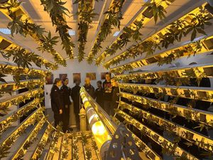 Uczniowie klasy policyjnej przyglądający się zajęcią w Akademi Policji w Szczytnie