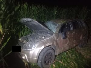 rozbity samochód stojący w polu kukurydzy